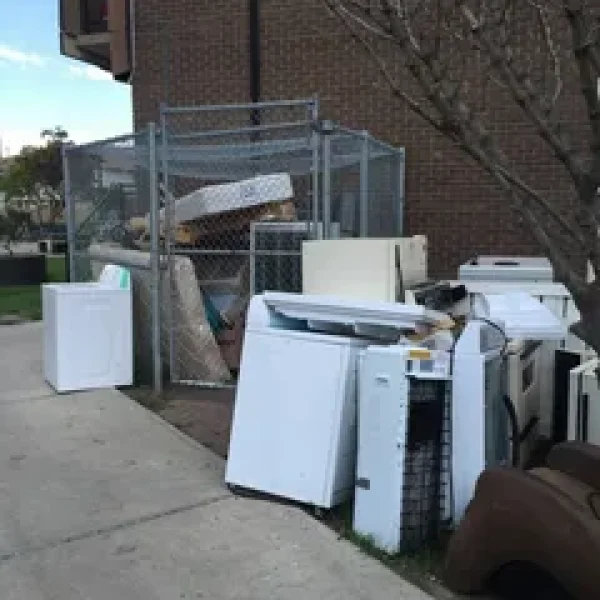 take my junk service in uae